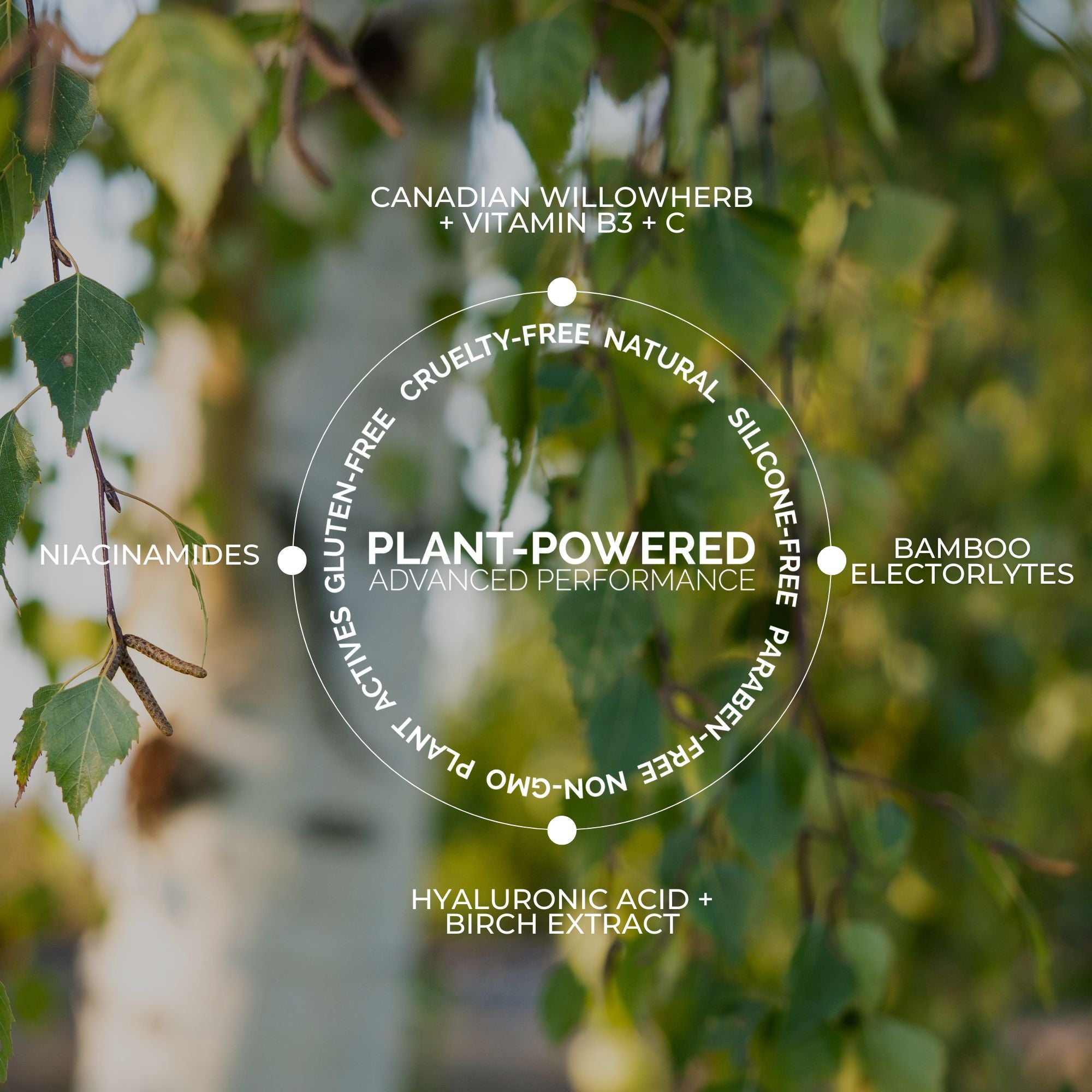 Birch Hyaluronic Electrolyte Quench + Calm Serum