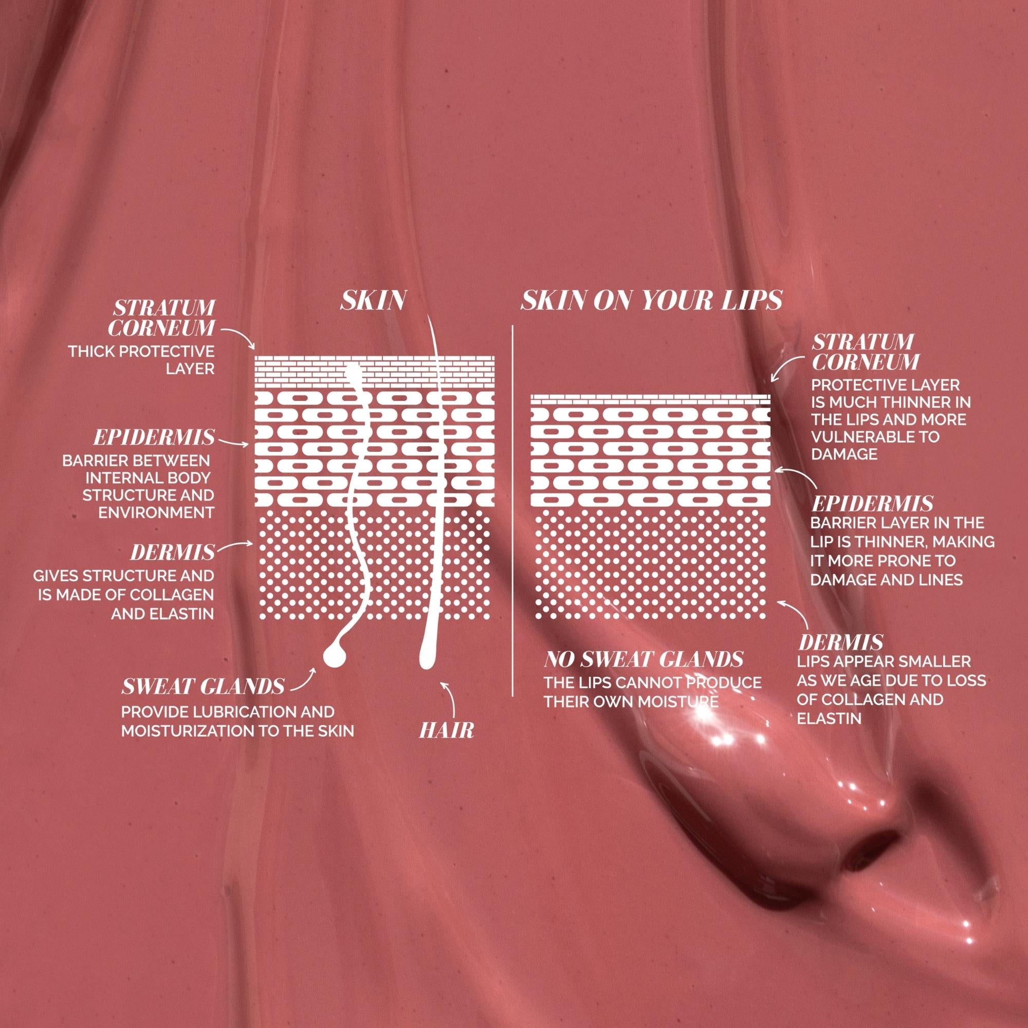 Build Your Own Lip Serum Trio