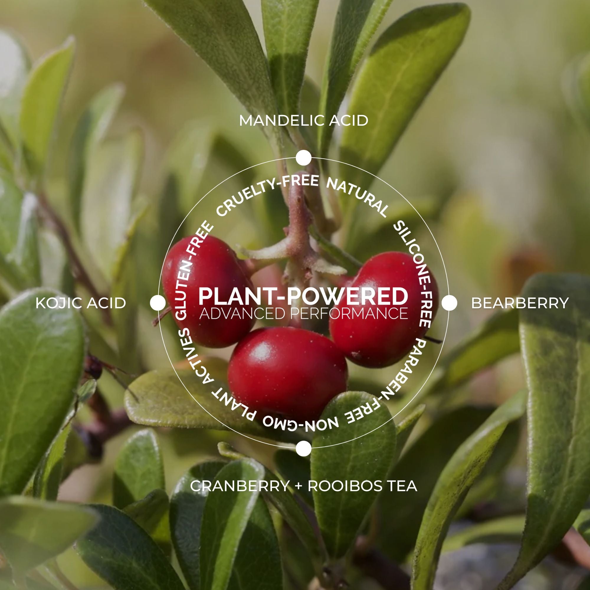 Clear + Bright Mandelic Serum Drops