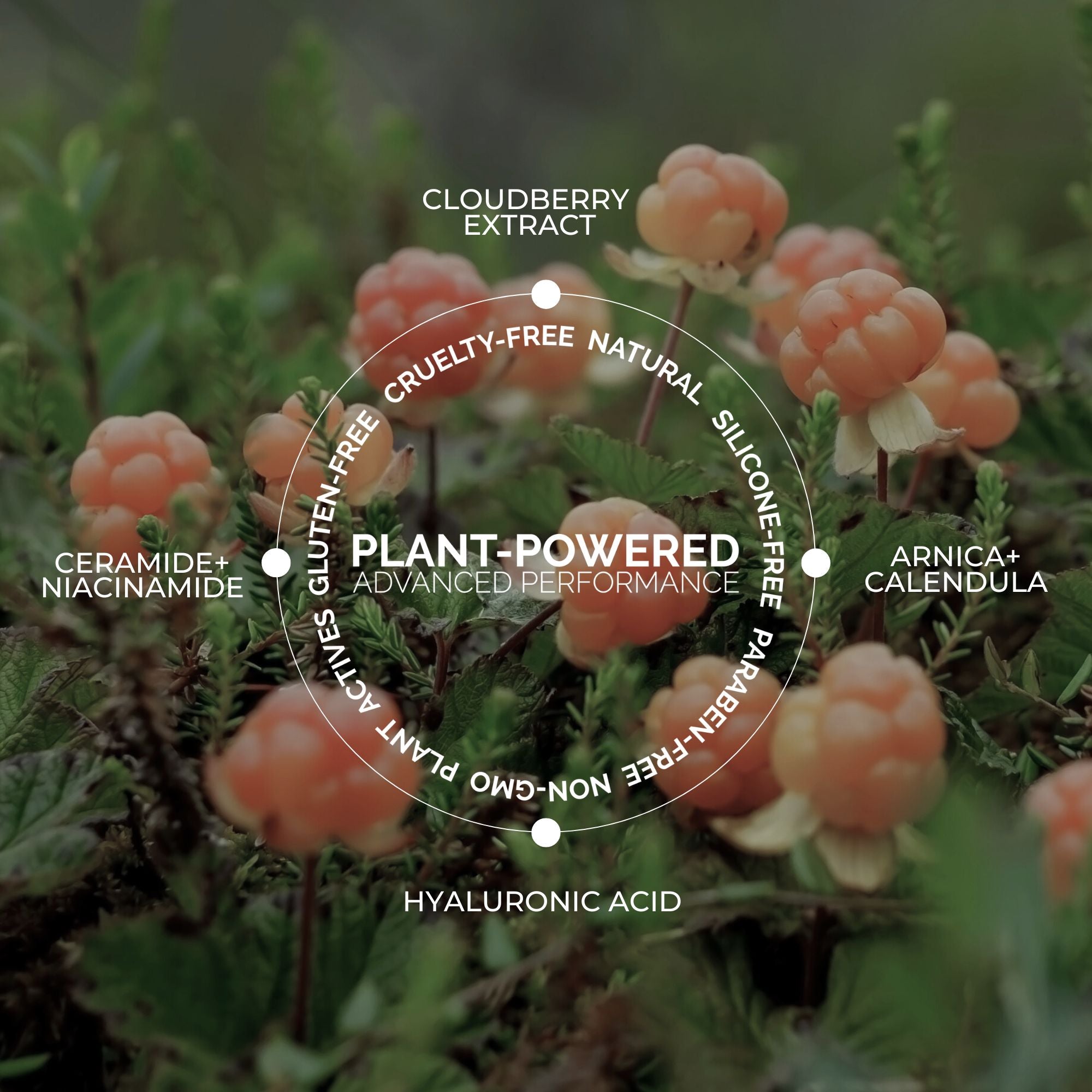 Cloud Ceramide + HA Recovery Balm