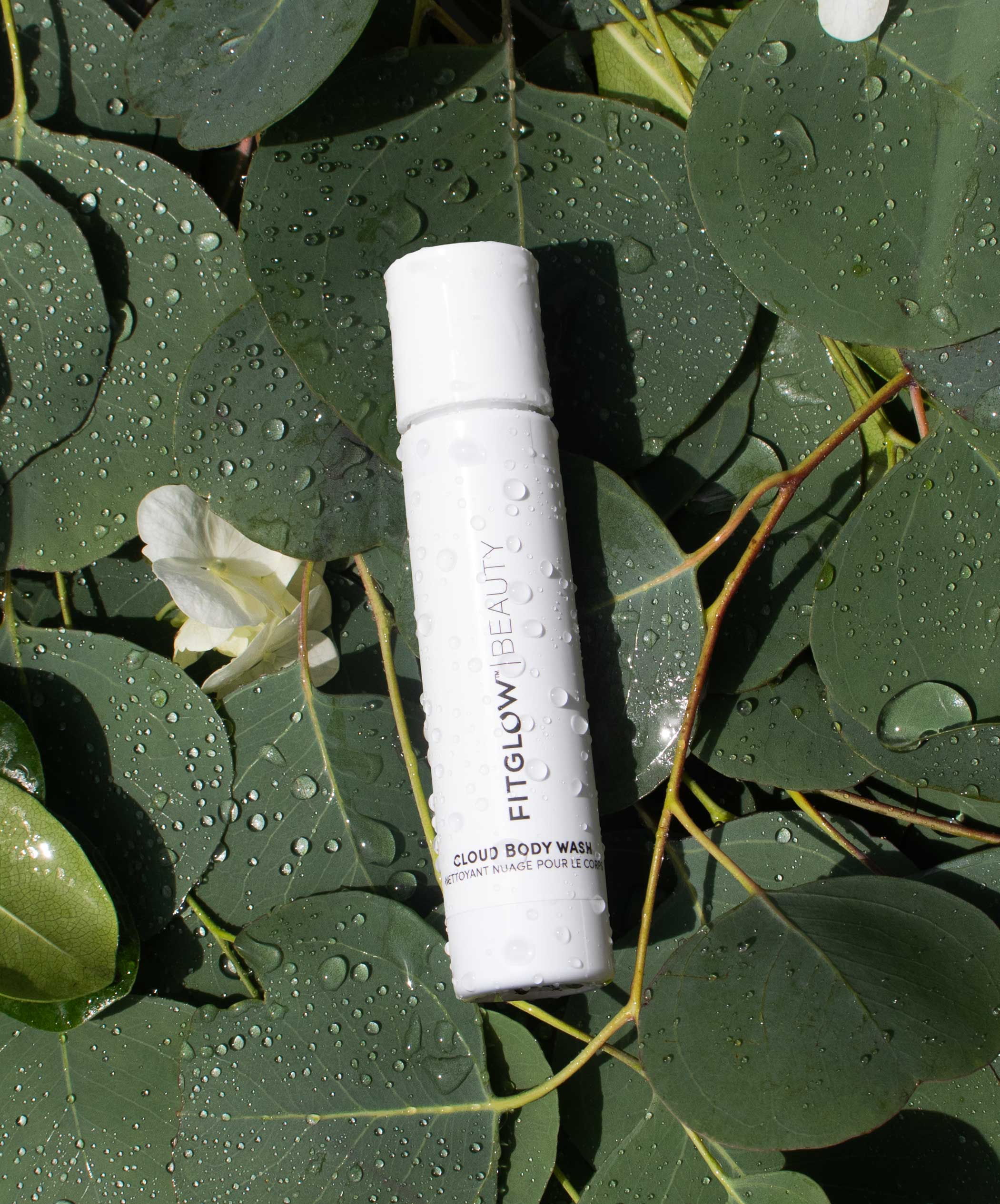 Travel Cloud Body Wash