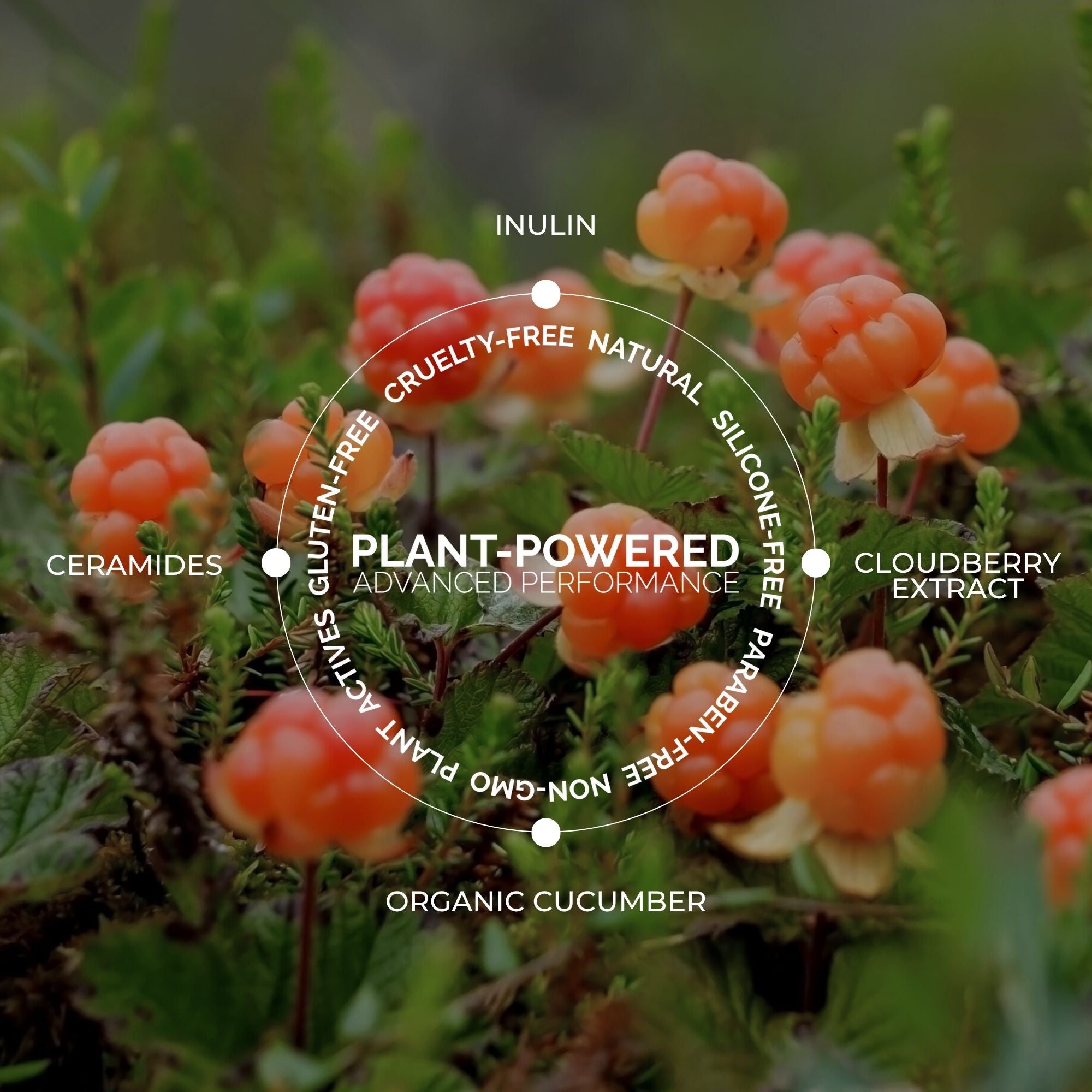 Gentle Ceramide Gel Cleanser