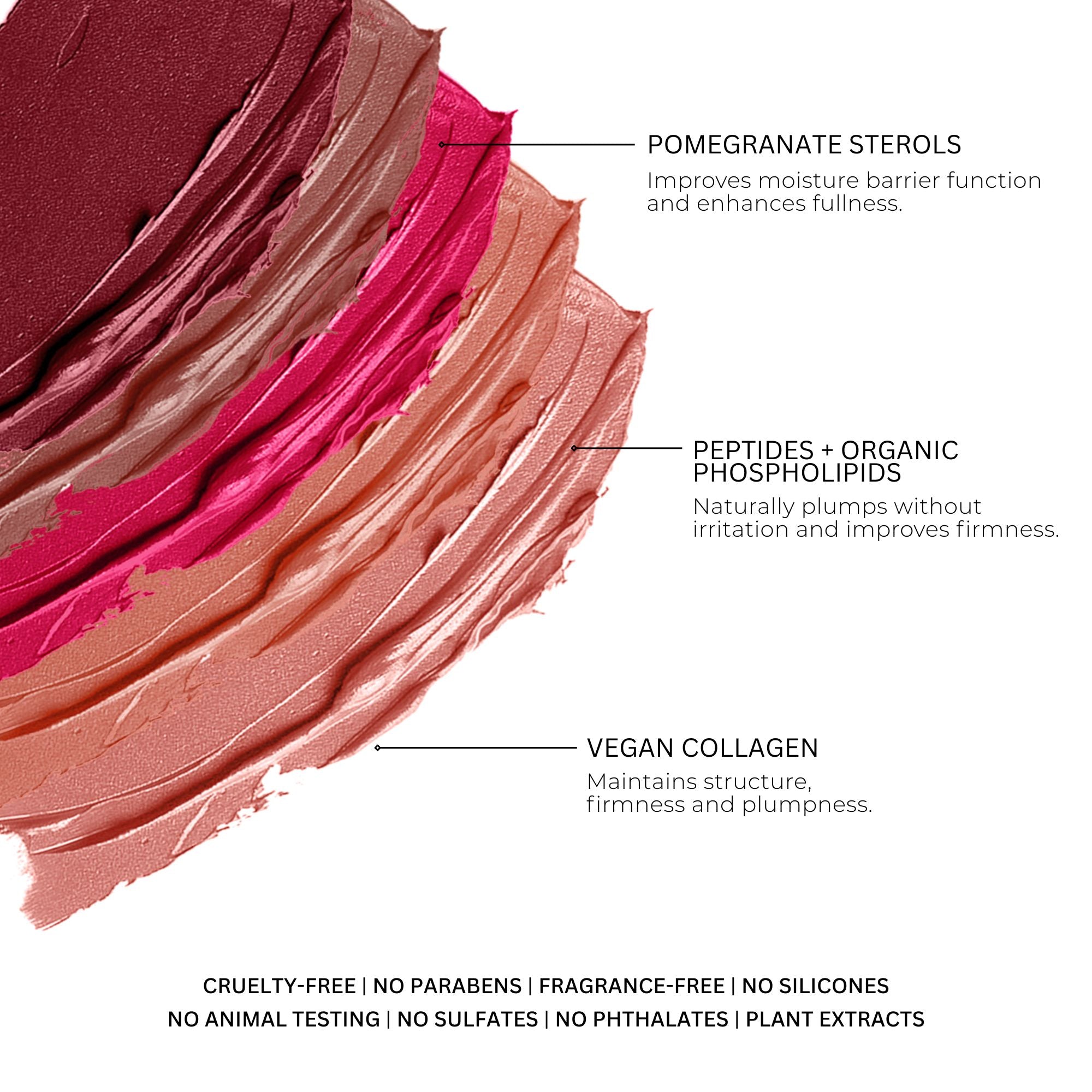 Lip Colour Cream Palette