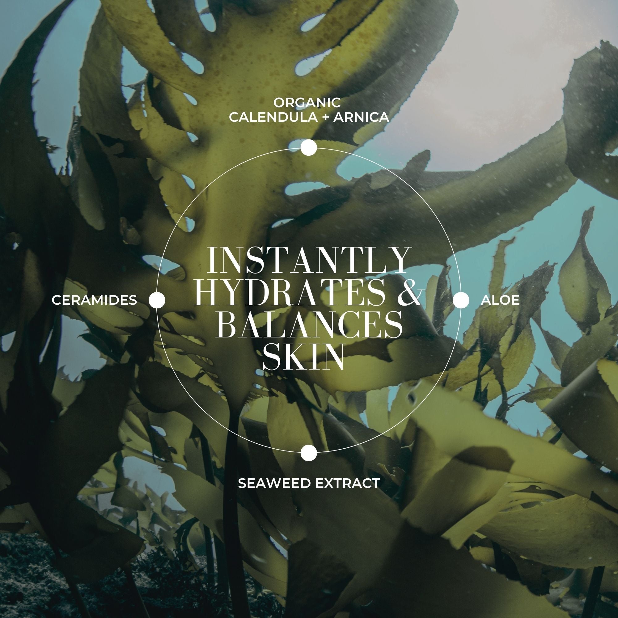 Sea Ceramide Toning Mist