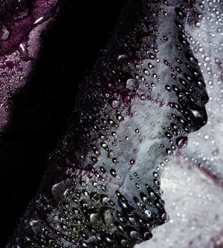 5 Reasons to Add Bakuchiol into Your Skincare Routine