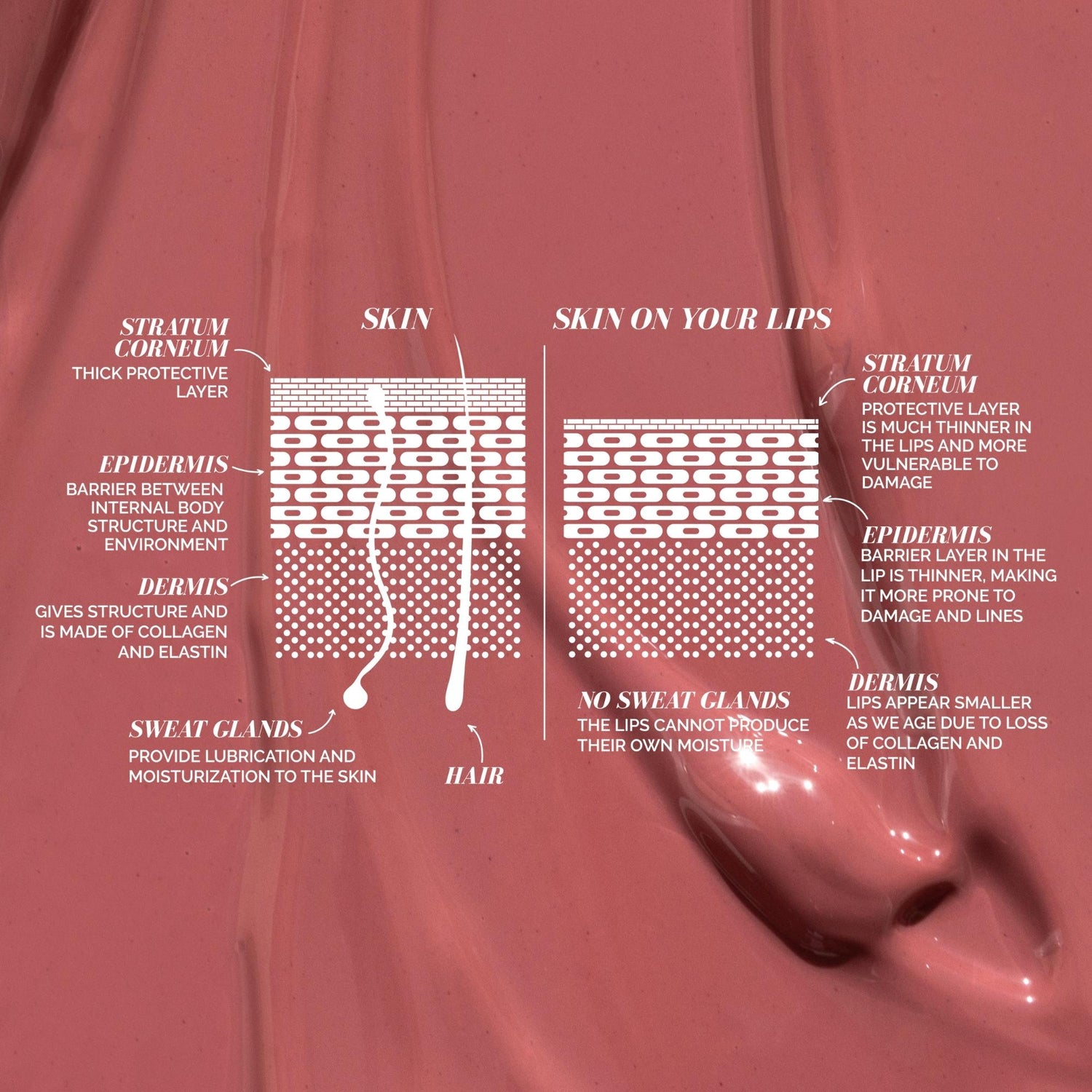 Build Your Own Signature Lip Serum 6-Shade Collection