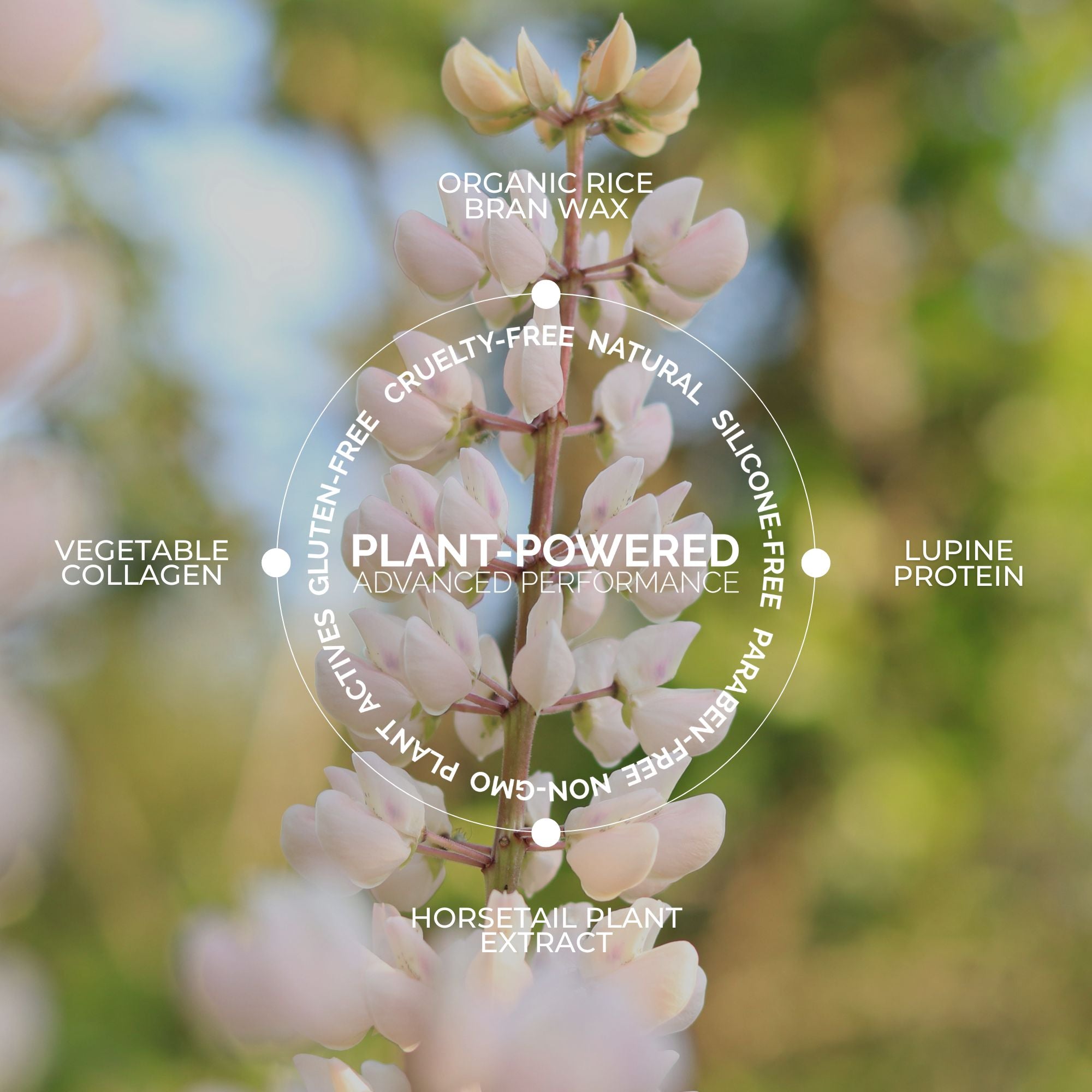 Vegan Good Lash+ Mascara