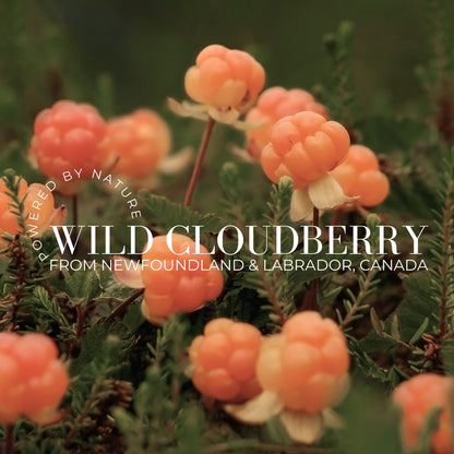 Gentle Ceramide Gel Cleanser, Travel