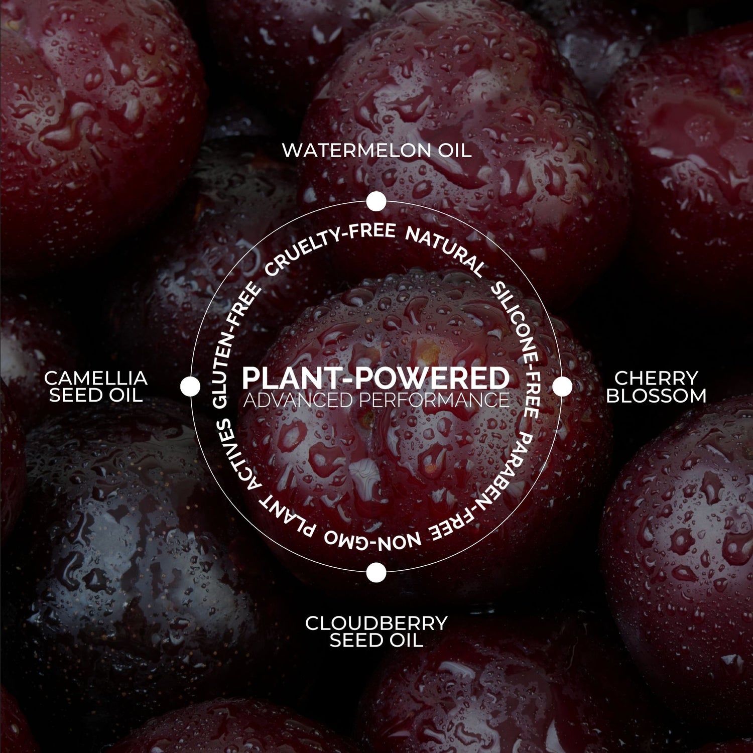 Makeup Cleansing Oil