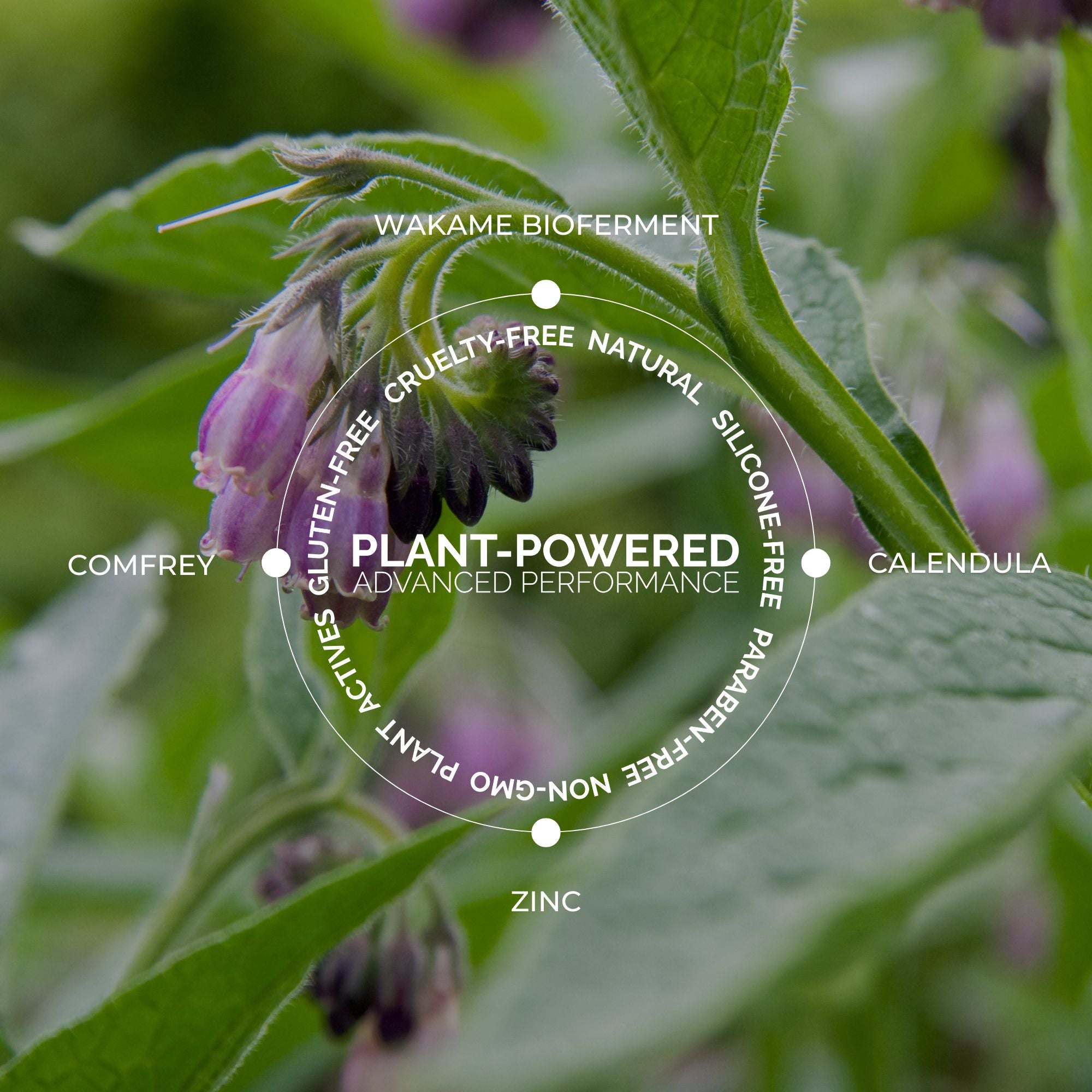 Redness Rescue Cream (RRC)