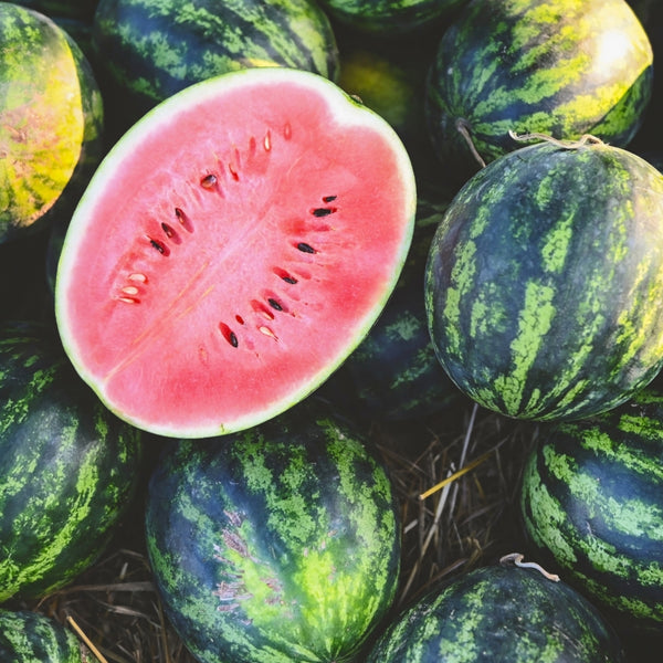 Watermelon Oil