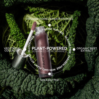 Beautiful Collection