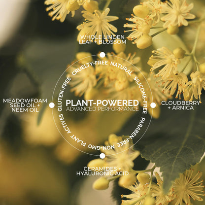 Cloud Body Cream + Body Oil Duo