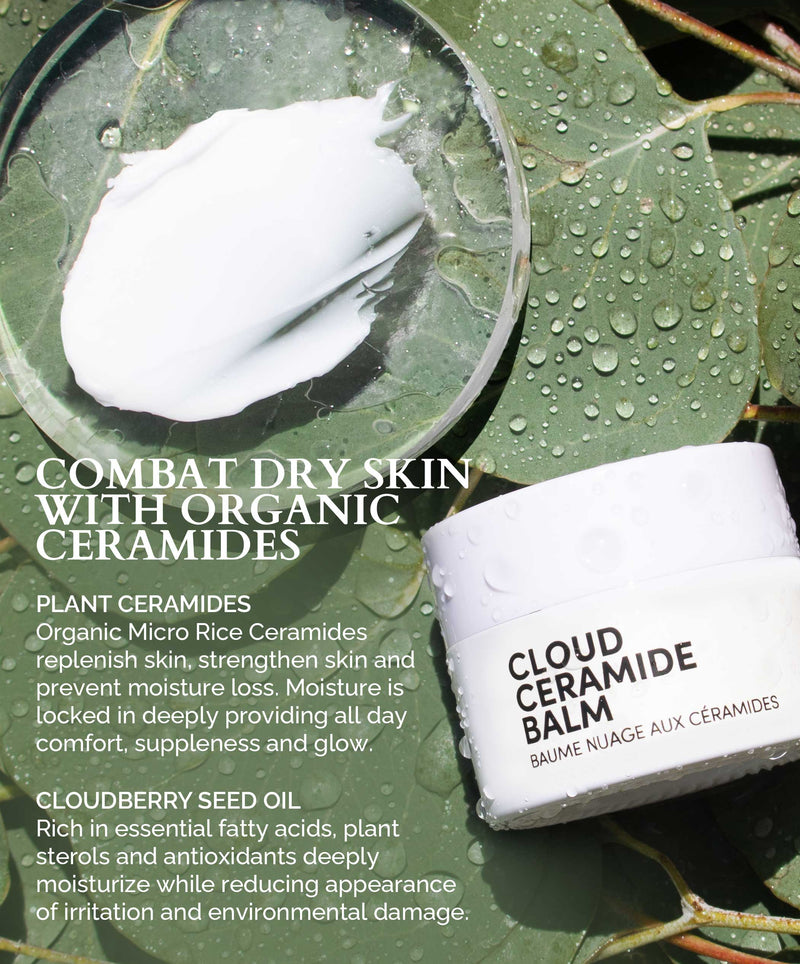Cloud Ceramide Discovery Kit