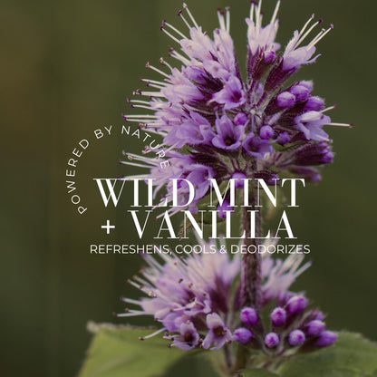 Deodorant Spray + Refill Duo