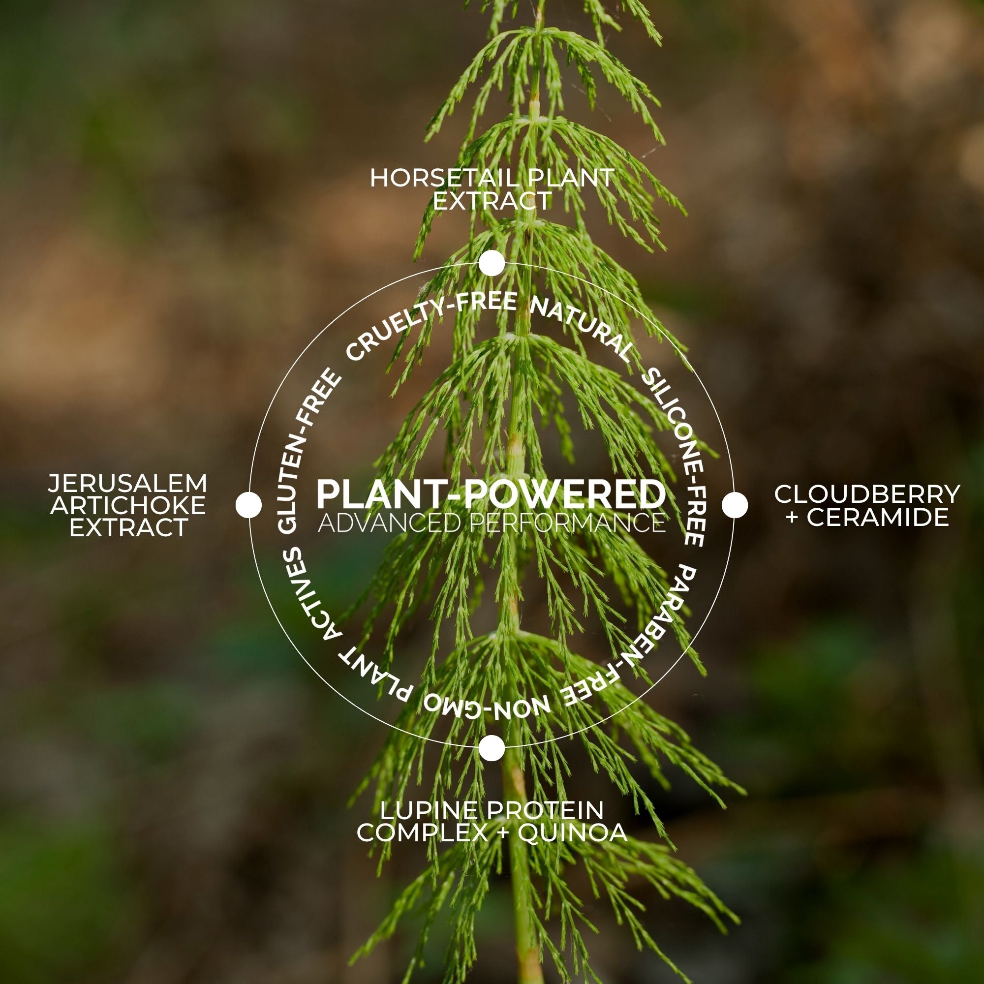 Healthy Lash Care Discovery Duo