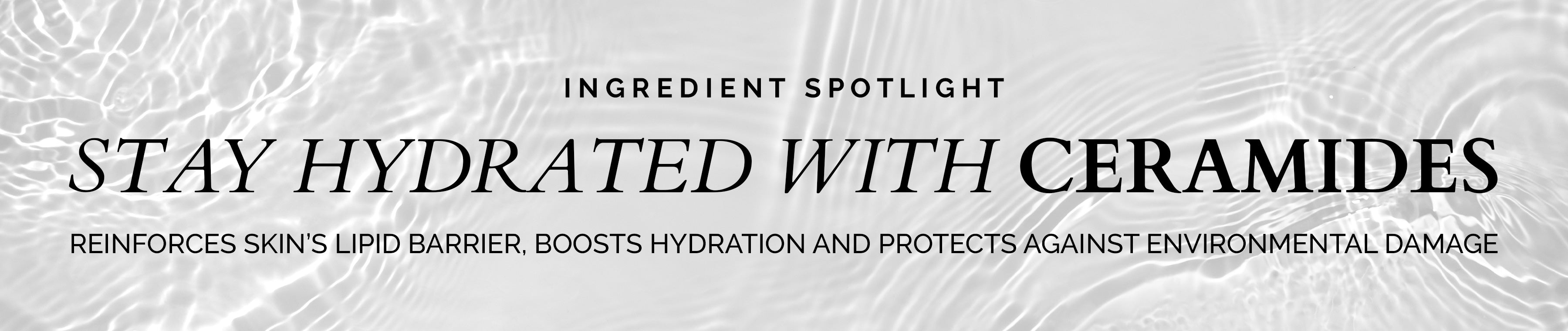 Ingredient Spotlight: Stay Hydrated with Ceramides - Reinforces skin's lipid barrier, boosts hydration and protects against environmental damage