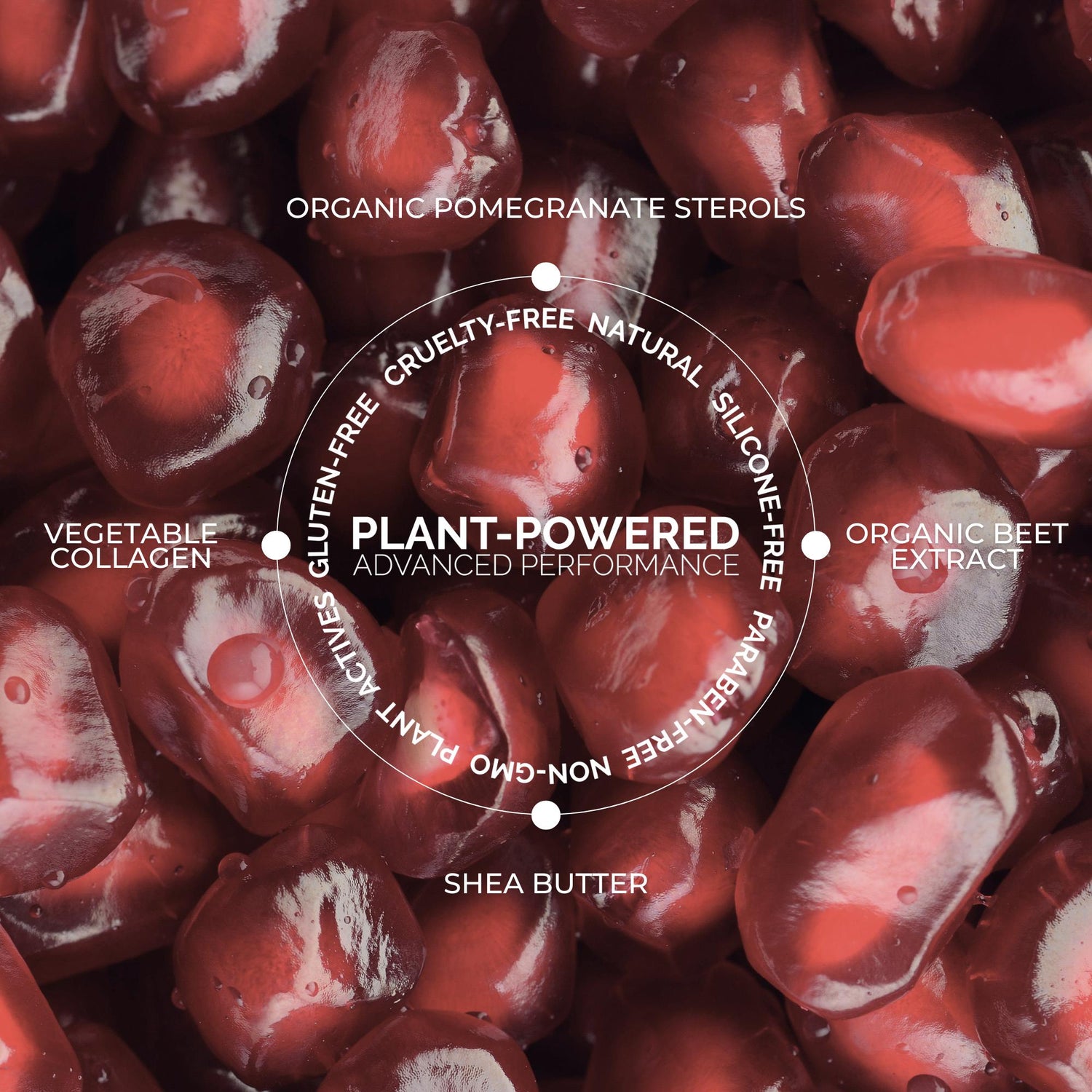 Build Your Own Signature Lip Serum 6-Shade Collection