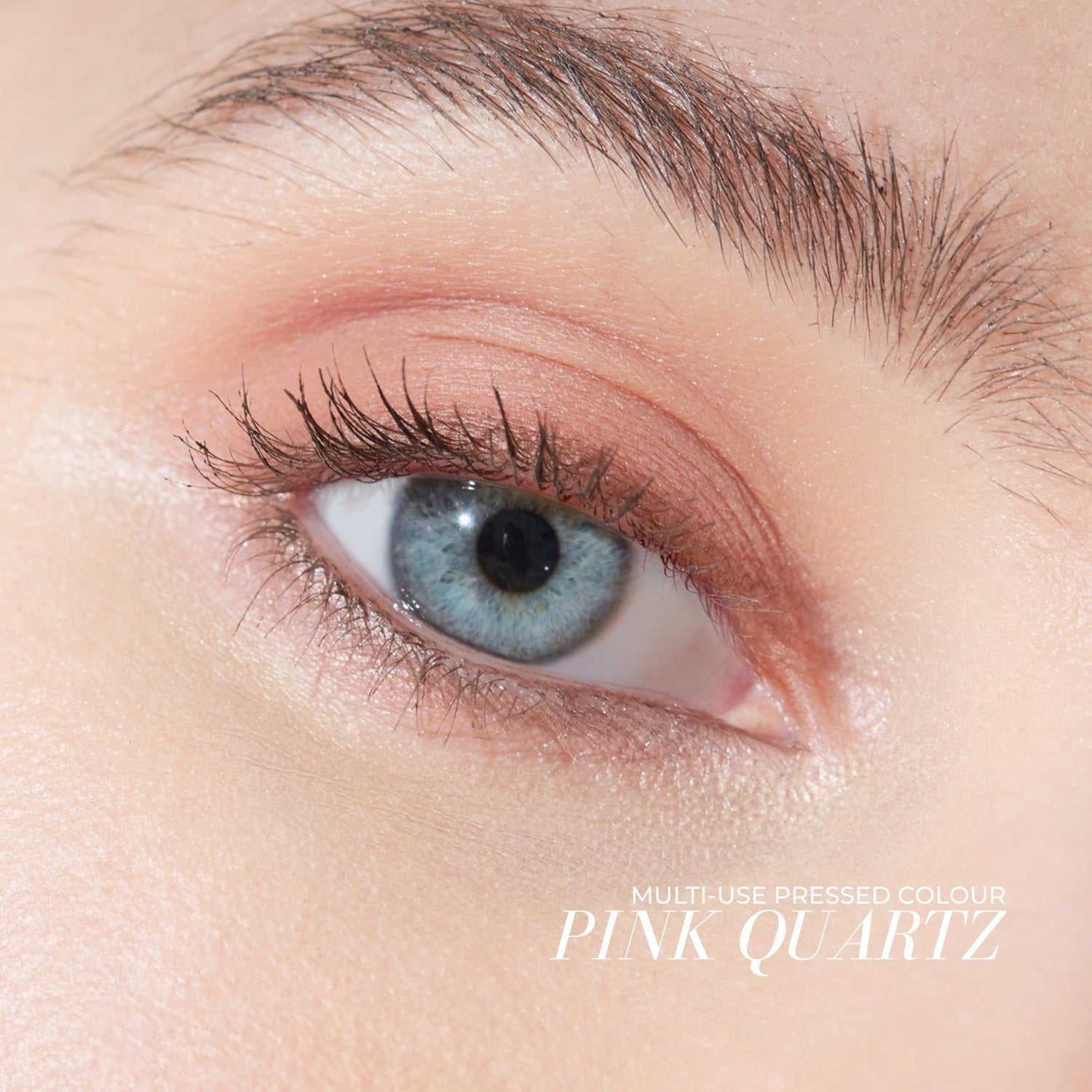 Multi-Use Pressed + Cream Colour