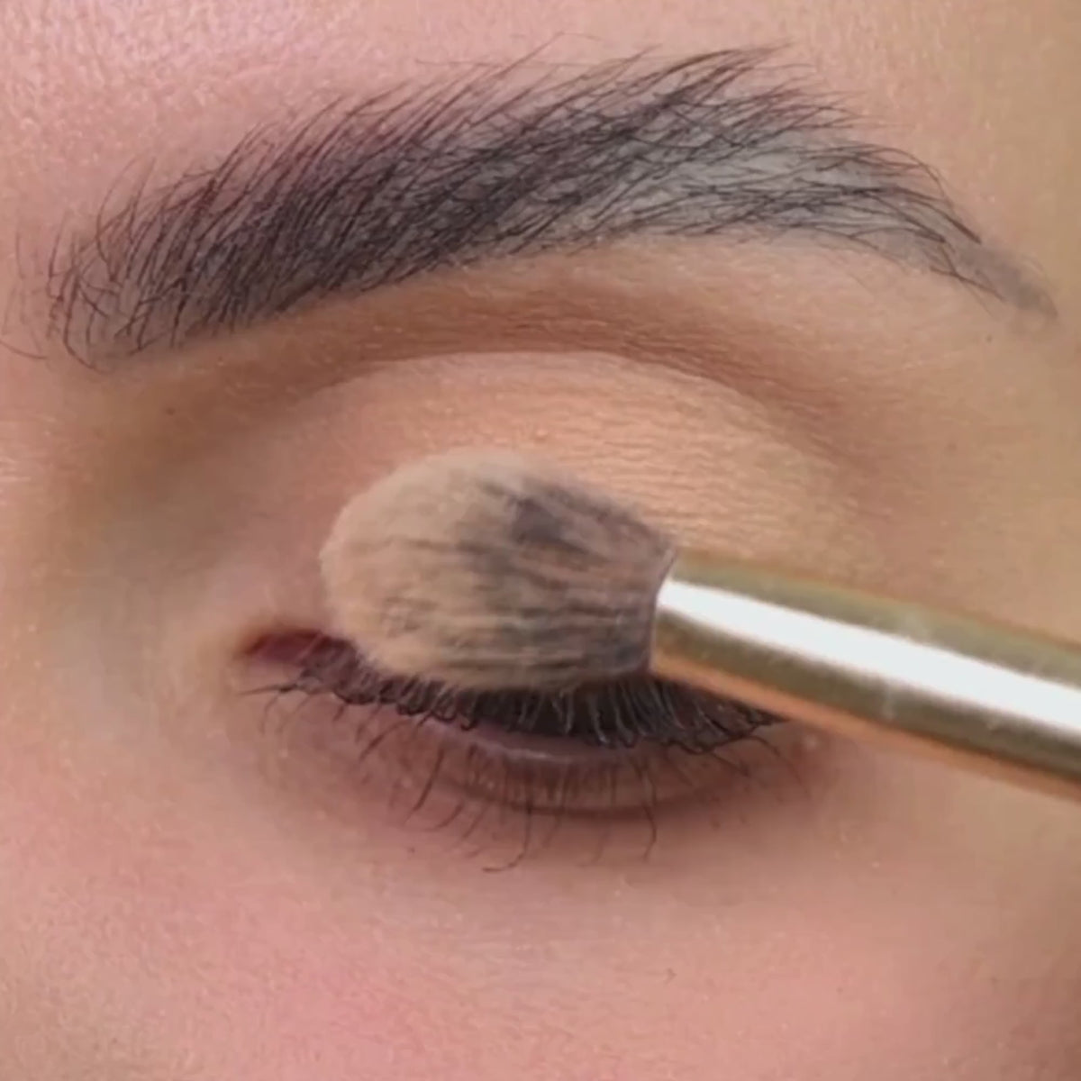 Multi-Use Pressed  Colour