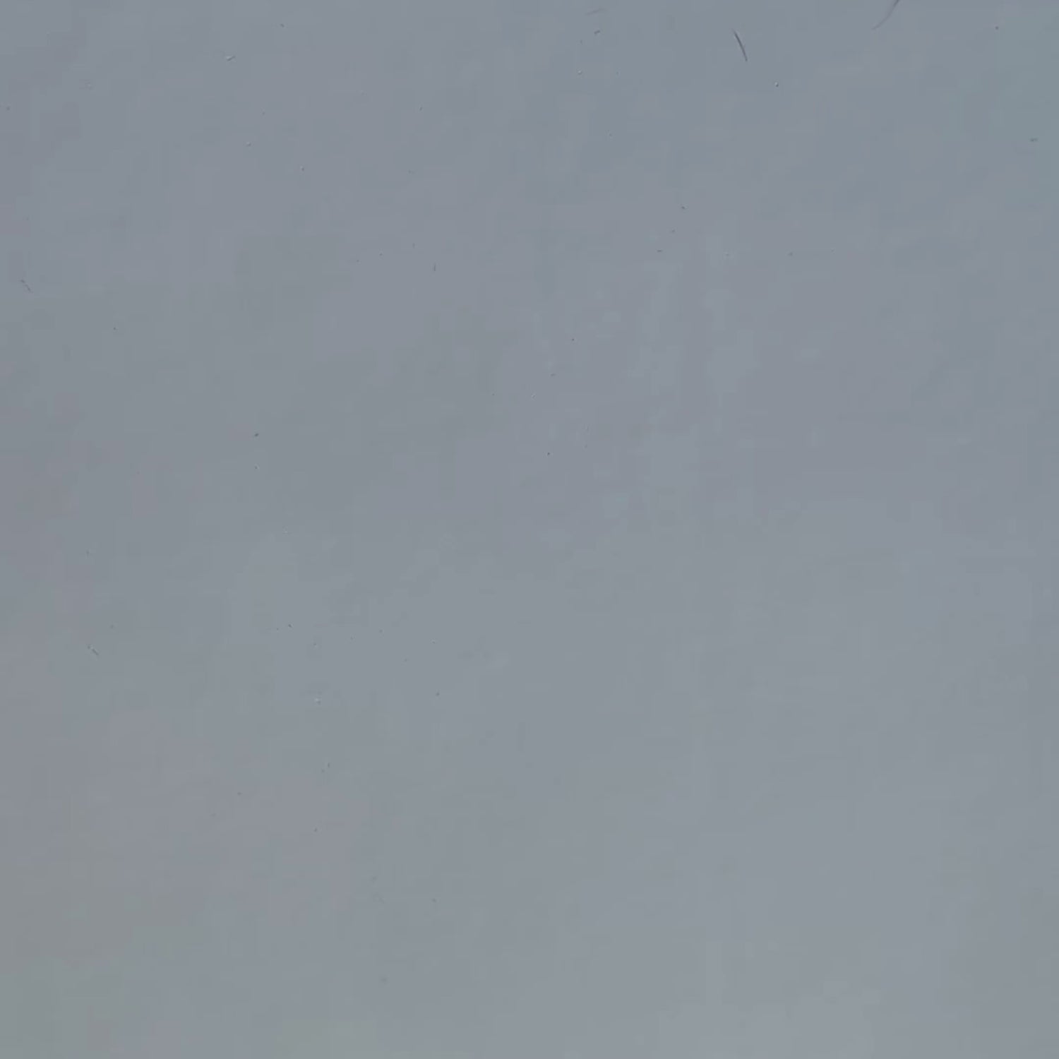 Heritage Cream Palettes