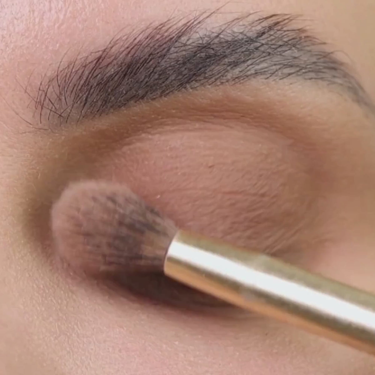 Multi-Use Pressed  Colour