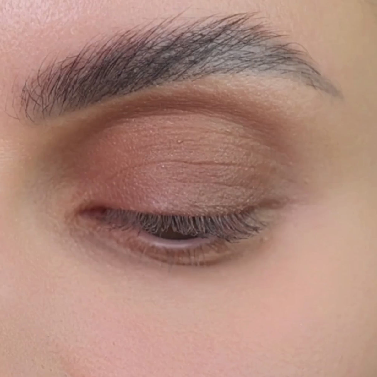 Multi-Use Pressed  Colour
