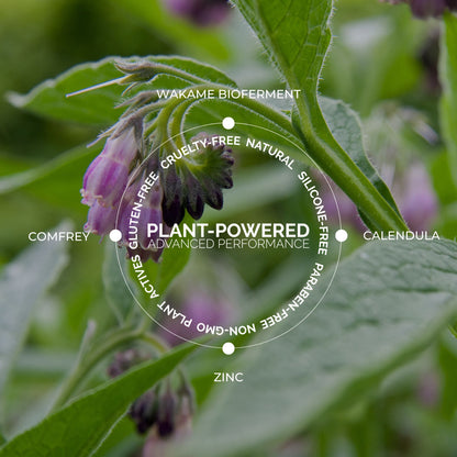 Redness Rescue Cream (RRC)