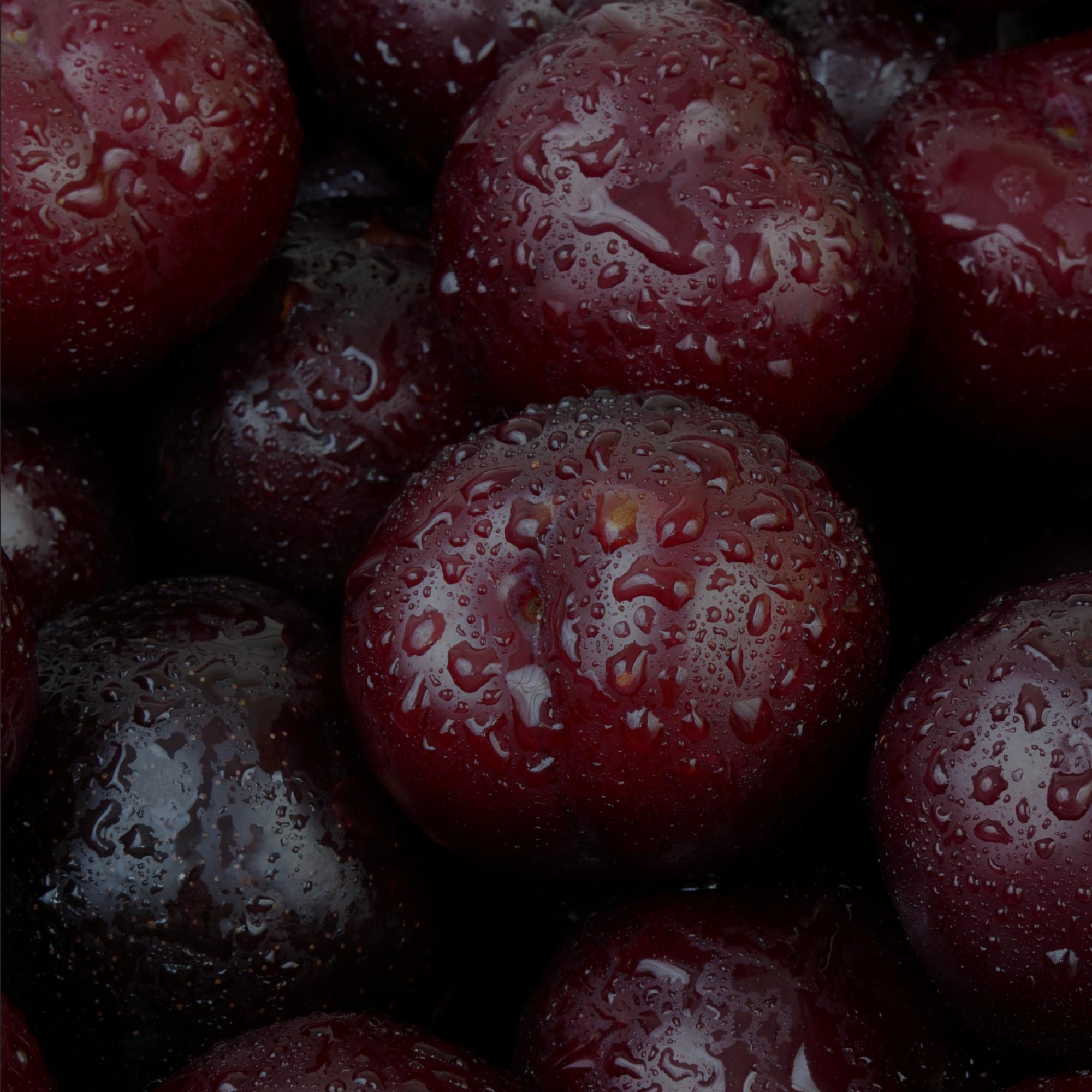 Rescue + Reset Mist + Vitamin Detox Cleanser Duo